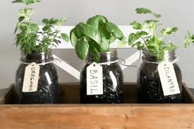 Indoor Herb Containers Silhouette Designs for home