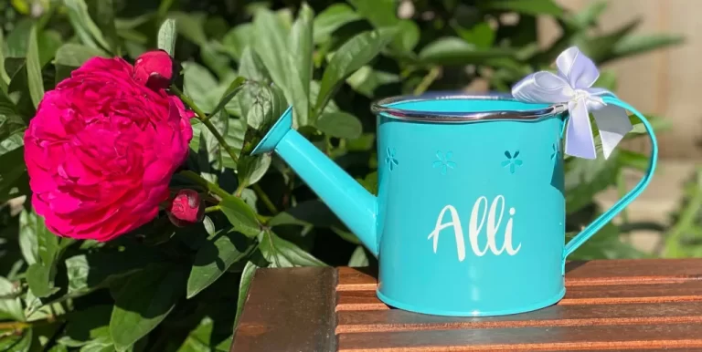 A-Cricut-watering-can