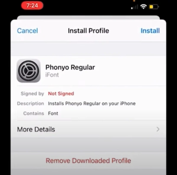 Tap on Profile Downloaded